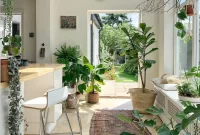 Plant Life: Decorating with Indoor Greenery
