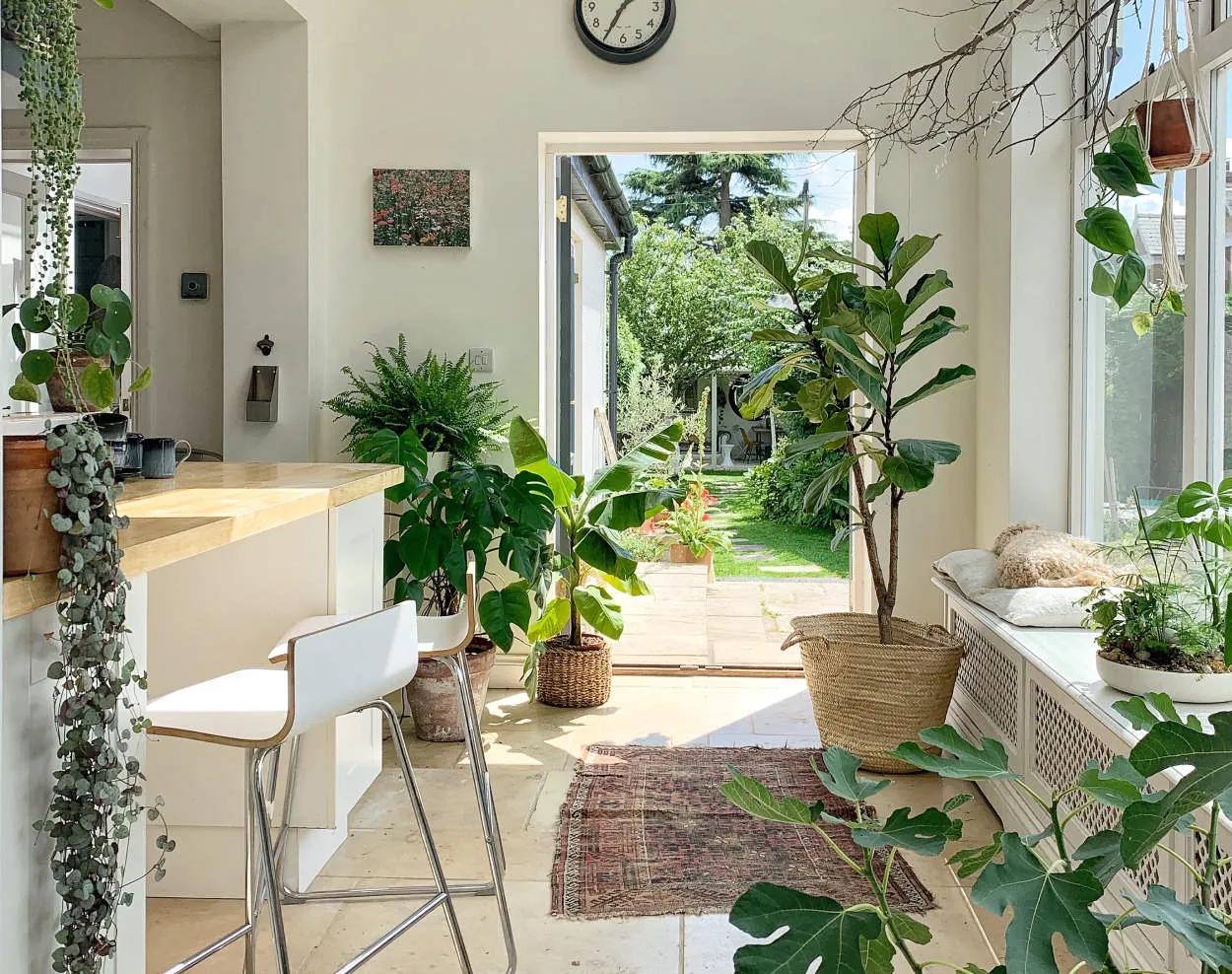 Plant Life: Decorating with Indoor Greenery